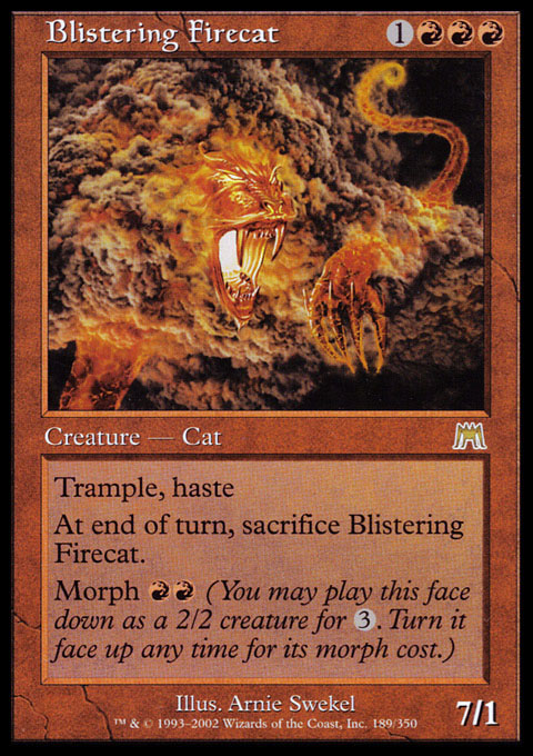 Blistering Firecat